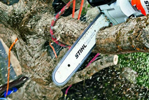 Talas y podas en altura de árboles