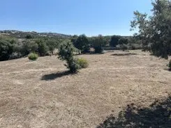 Desbroces de fincas en Barcelona capital y provincia desbrozamos fincas y parcelas Barcelona y provincia