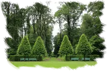 Limpieza de parcelas Pinto Madrid desbroce de fincas Desbroce de fincas Pinto Madrid limpieza en parcelas