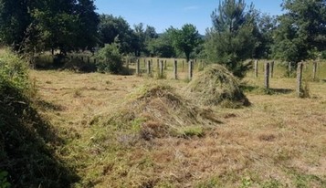 Desbrozamos tu finca en Madrid