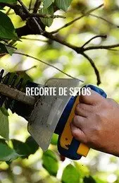 Recorte de setos y desbroces de fincas Desbrozamos y limpiamos fincas, terrenos y parcelas