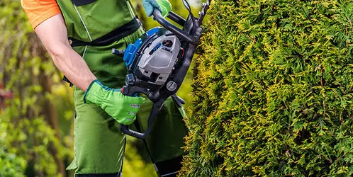 Desbroce de fincas y parcelas Barcelona y provincia