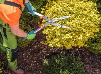 Desbroce de fincas y parcelas Barcelona y provincia