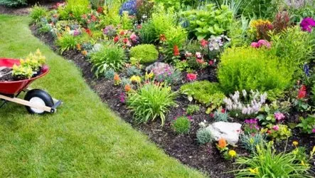 Desbroce de fincas y parcelas Barcelona y provincia