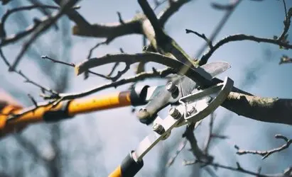 Desbroce de fincas y parcelas Barcelona y provincia