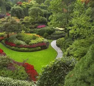 Desbroce de fincas y parcelas Barcelona y provincia