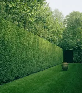 Desbroce de fincas y parcelas Barcelona y provincia