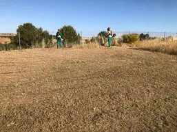 DESBROCES DE FINCAS Y PARCELAS Barcelona Barcelona, desbroces y limpieza de terrenos