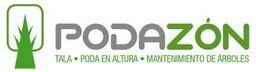 Tala y podas de arboles en altura Limpieza de ramas y mantenimiento
