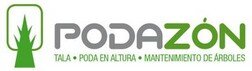 Tala y podas de arboles en altura Limpieza de ramas y mantenimiento