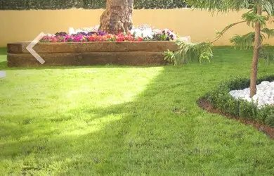 Podas y talas de árboles en Barcelona Podas y talas de árboles en Barcelona