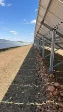 Tala y poda en altura, Podas en altura Talas controladas