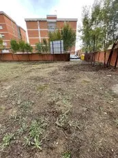 Tala y poda en altura, Podas en altura Talas controladas
