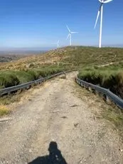 Tala y poda en altura, Podas en altura Talas controladas