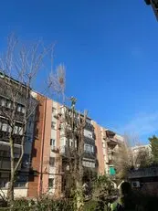 Tala y poda en altura, Podas en altura Talas controladas