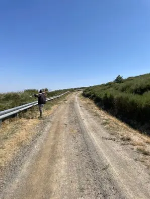 Limpiezas y desbroces de terrenos fincas y parcelas, Boadilla del Monte Limpiezas y desbroces de fincas y parcelas, Boadilla del Monte