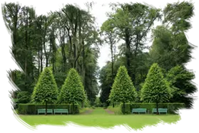 Desbroces y limpieza de fincas y parcelas Barcelona Desbroces de parcelas Barcelona