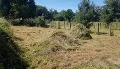 Desbroces de parcelas en Madrid Desbroces fincas en Madrid