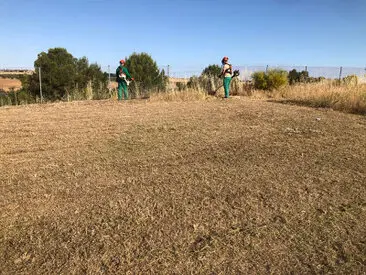 Limpiezas y desbroces terrenos fincas y parcelas, Boadilla del Monte Desbroce terrenos limpiezas de fincas y parcelas, Boadilla del Monte