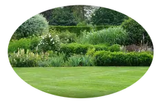 Podas y talas en altura Podas y talas en altura