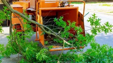 Desbroce de fincas y parcelas Barcelona y provincia Desbroce de fincas y parcelas Barcelona y provincia