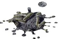 Desbroce de fincas y parcelas Barcelona y provincia Desbroce de fincas y parcelas Barcelona y provincia