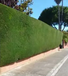 Desbroce de fincas y parcelas Barcelona y provincia Desbroce de fincas y parcelas Barcelona y provincia